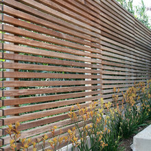 Backyard Fences