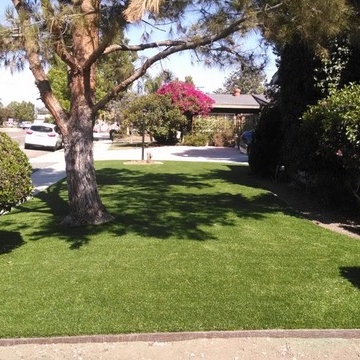 Verdant Residential Artificial Turf [San Diego, CA]