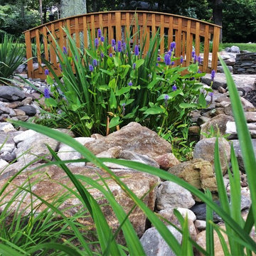 Ponds and Streams
