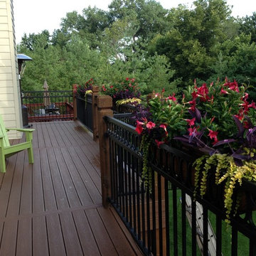Our Work