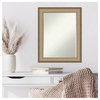 Elegant Brushed Bronze Petite Bevel Wall Mirror 22.75 x 28.75 in.