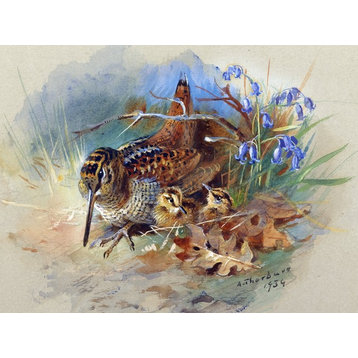 Tile Mural Woodcock and Yuong by Archibald Thorburn 8"x6" Ceramic, Glossy