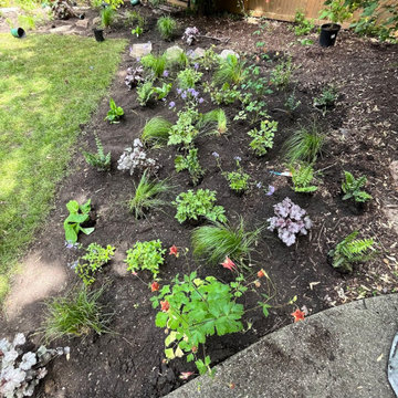 Shade Pollinator garden