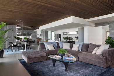 Design ideas for a contemporary open concept living room in Perth with grey walls, concrete floors and no fireplace.