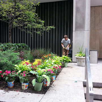 New York Roof Top Garden Services and Garden Designs :NYPlantings