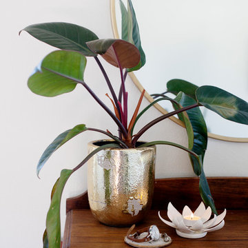 My Houzz: Family-Friendly Style in a 1930 South Carolina Home