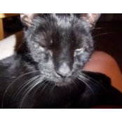 Ken Teubner's photo