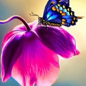 Julia S's photo