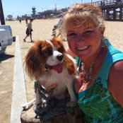 Kathy Koerner's photo