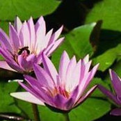 Jan Kelly's photo