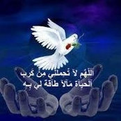Alia Ali's photo
