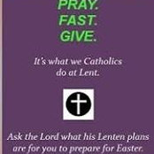 Darcy Koski's photo
