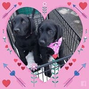 Tina Pierce's photo