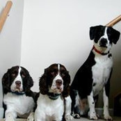 Foto von Nancy Hennessy