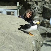 Sharon Baum's photo