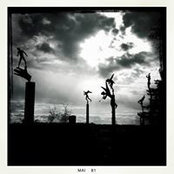 Alexander Seidl's photo