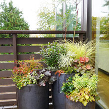 Container Garden