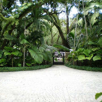 Tropical Gardens