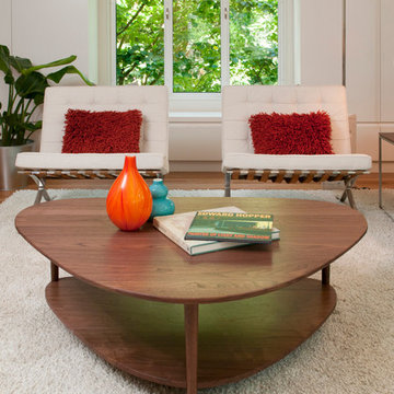 Mid Century remodel