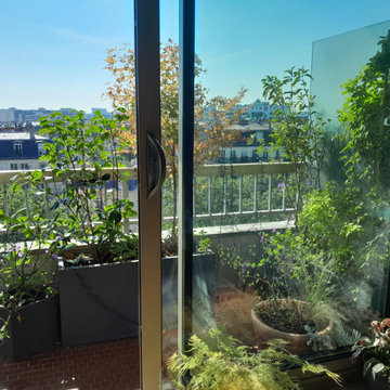 Aménagement nature d'un balcon Paris 11