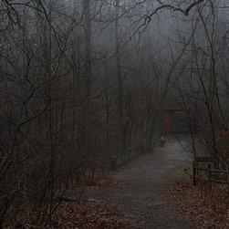 January on the Wissahickon, 2018 - Prints And Posters