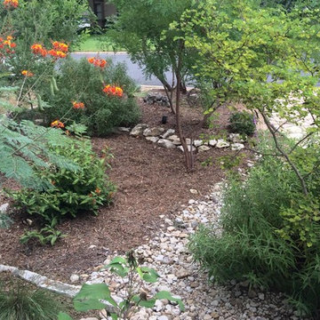 Xeriscapes, examples of our work