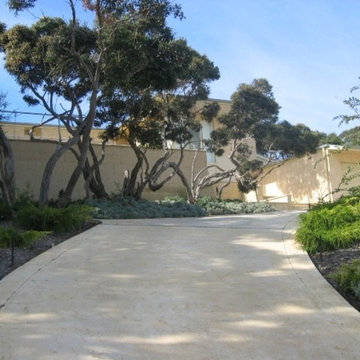 Coastal Garden