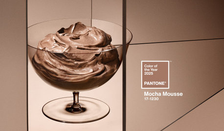 Couleurs 2025, un cocktail neutre et intense