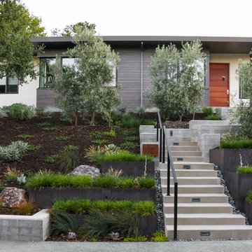 Front Entry and Plantings