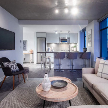 Living Room - Transitional