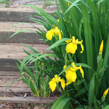 Glendale: 20 years of Soul Conservation, near Somerset, VA