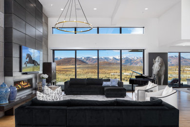 Design ideas for a contemporary living room in Salt Lake City.