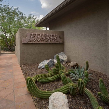 Sprawling Cactus