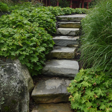 Steps + Walls
