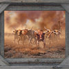 Barb Wire With Cornerblock Barnwood Picture Frame, 16"x20"