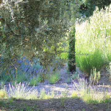 Landscape Designer Cannes | The Scents of Provence