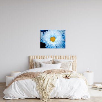 Floral Print Artwork: Blue Tinted Chrysanthemums Nature Photo Wall Art