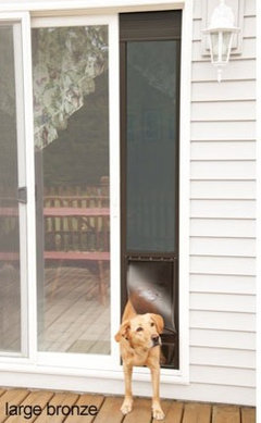 Doggie Door In Basement