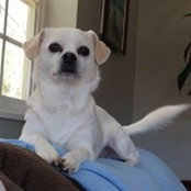 Susan Greene's photo