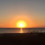 Kathleen Wang's photo