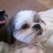 Christel Brown's photo
