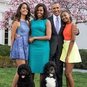 Glenda Chiang's photo