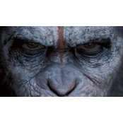 David Lyons's photo