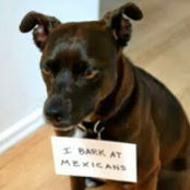 Joel Miedema's photo
