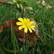 Michelle Walsh's photo