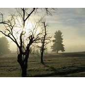 Alexander Apponyi's photo