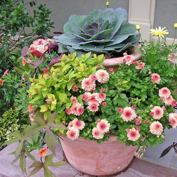 Seasonal Display