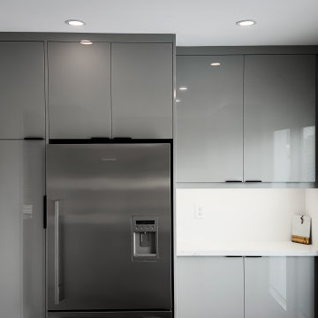 Kitchen Renovation - Project Tania