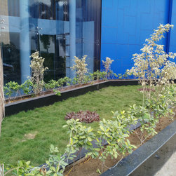 DELL INTERNATIONAL - Plants