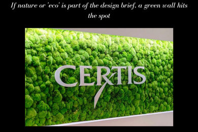 Moss & Green Walls, Natural Interior Products
